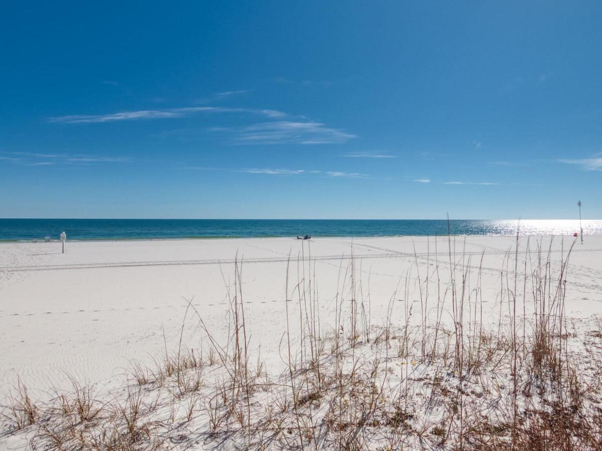 Pelican Pointe 506 By Collection